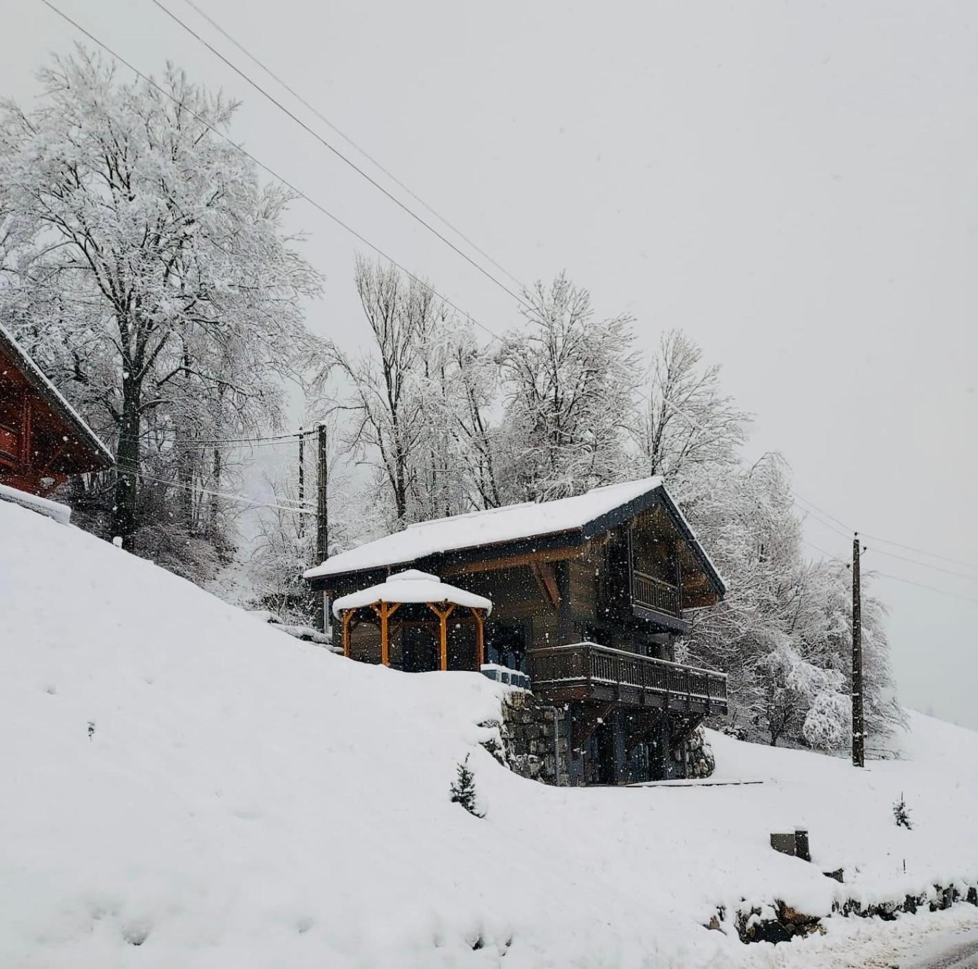 Willa Chalet Du Bonheur Bonnevaux  Zewnętrze zdjęcie