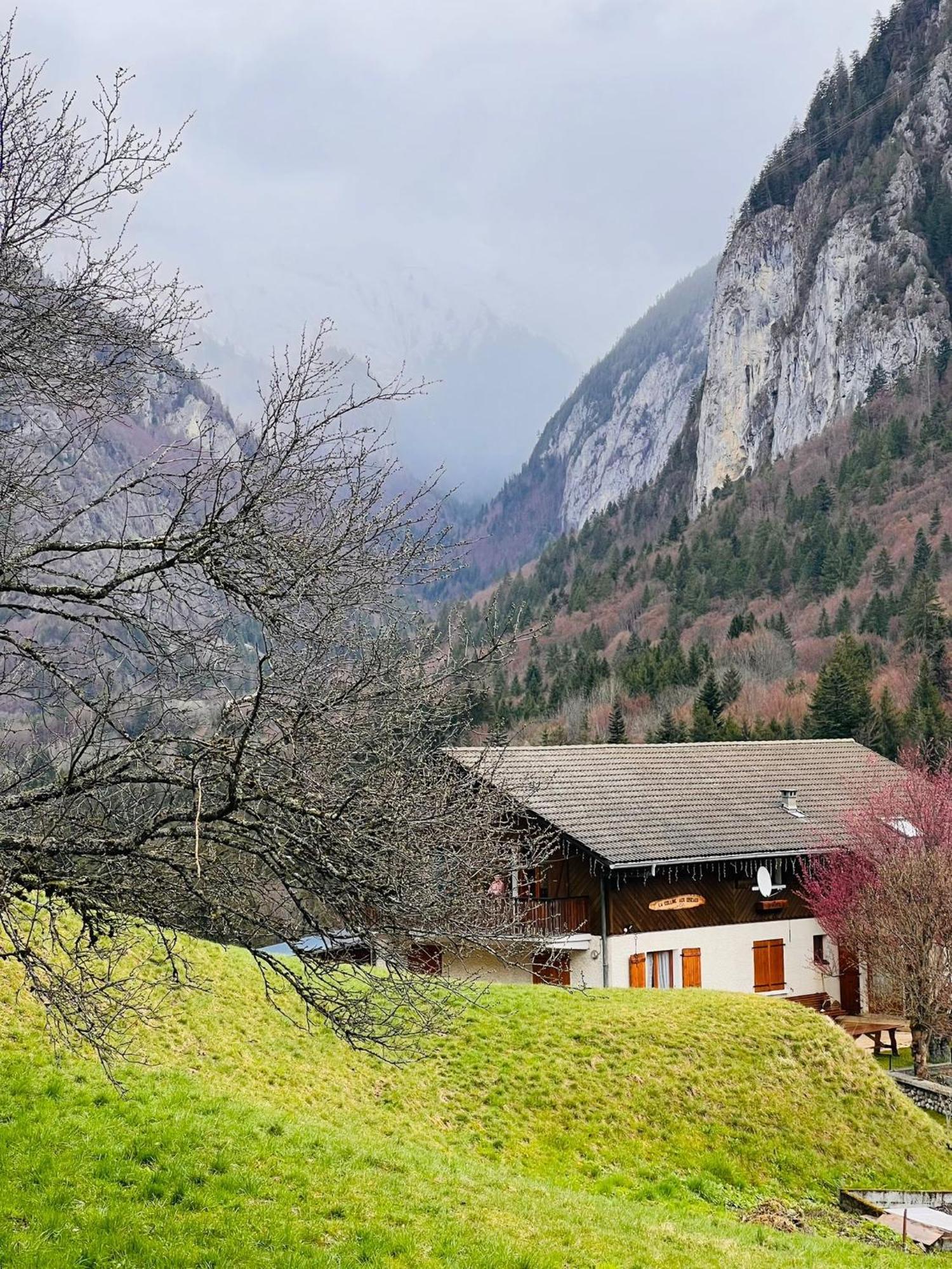 Willa Chalet Du Bonheur Bonnevaux  Zewnętrze zdjęcie