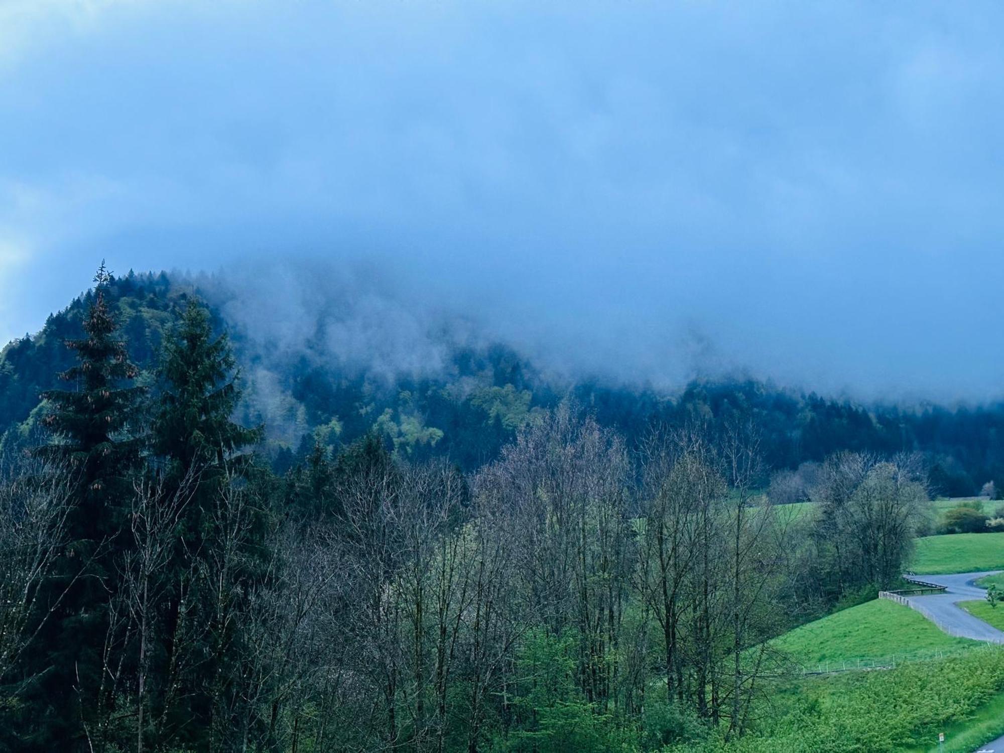 Willa Chalet Du Bonheur Bonnevaux  Zewnętrze zdjęcie