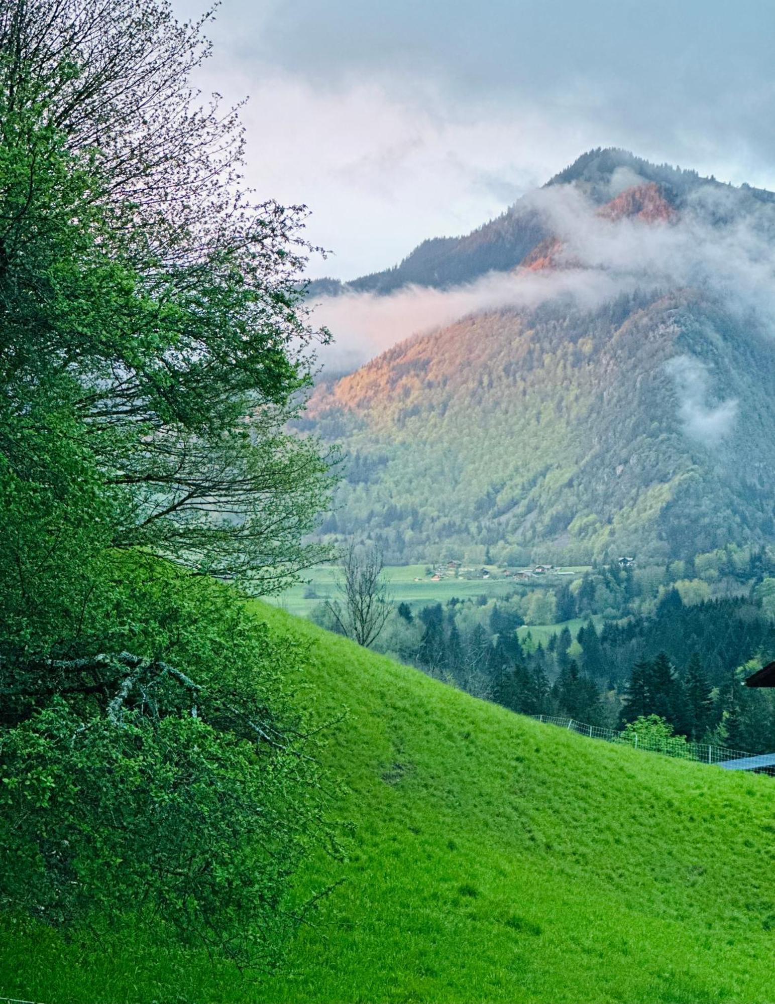 Willa Chalet Du Bonheur Bonnevaux  Zewnętrze zdjęcie