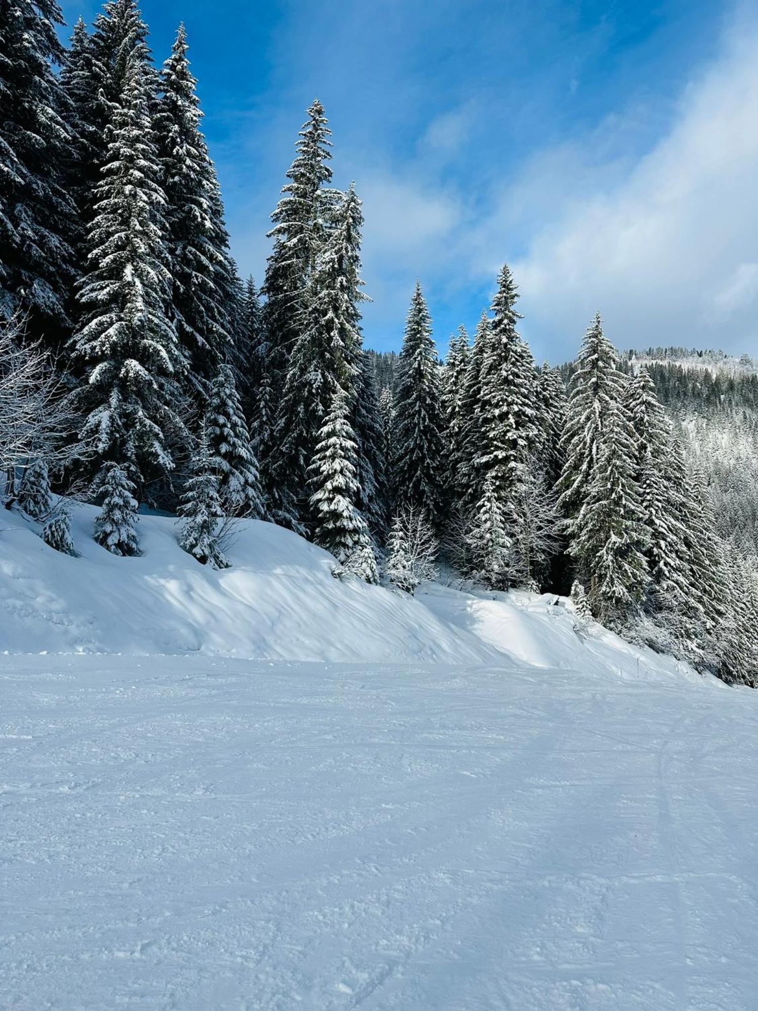 Willa Chalet Du Bonheur Bonnevaux  Zewnętrze zdjęcie