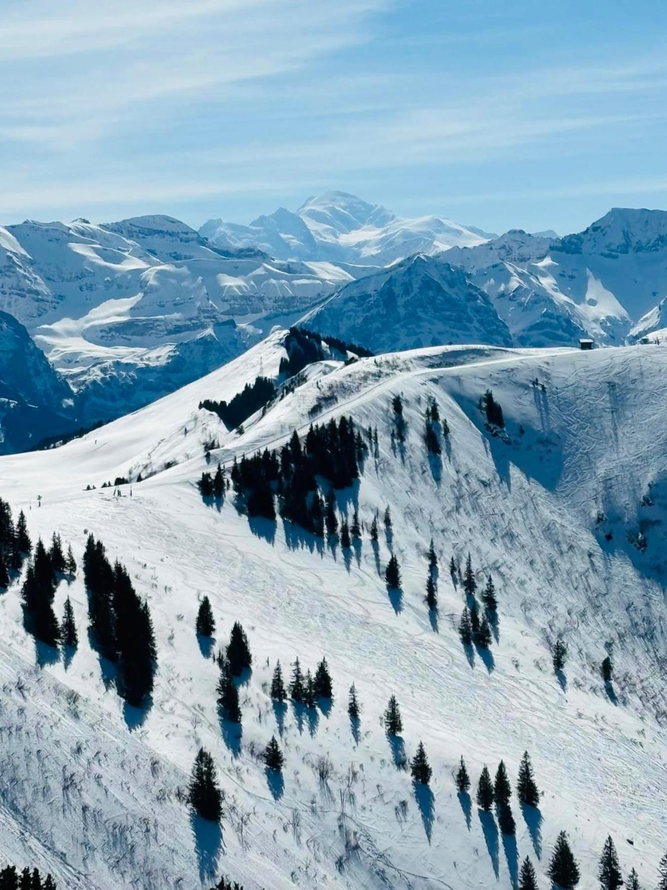 Willa Chalet Du Bonheur Bonnevaux  Zewnętrze zdjęcie