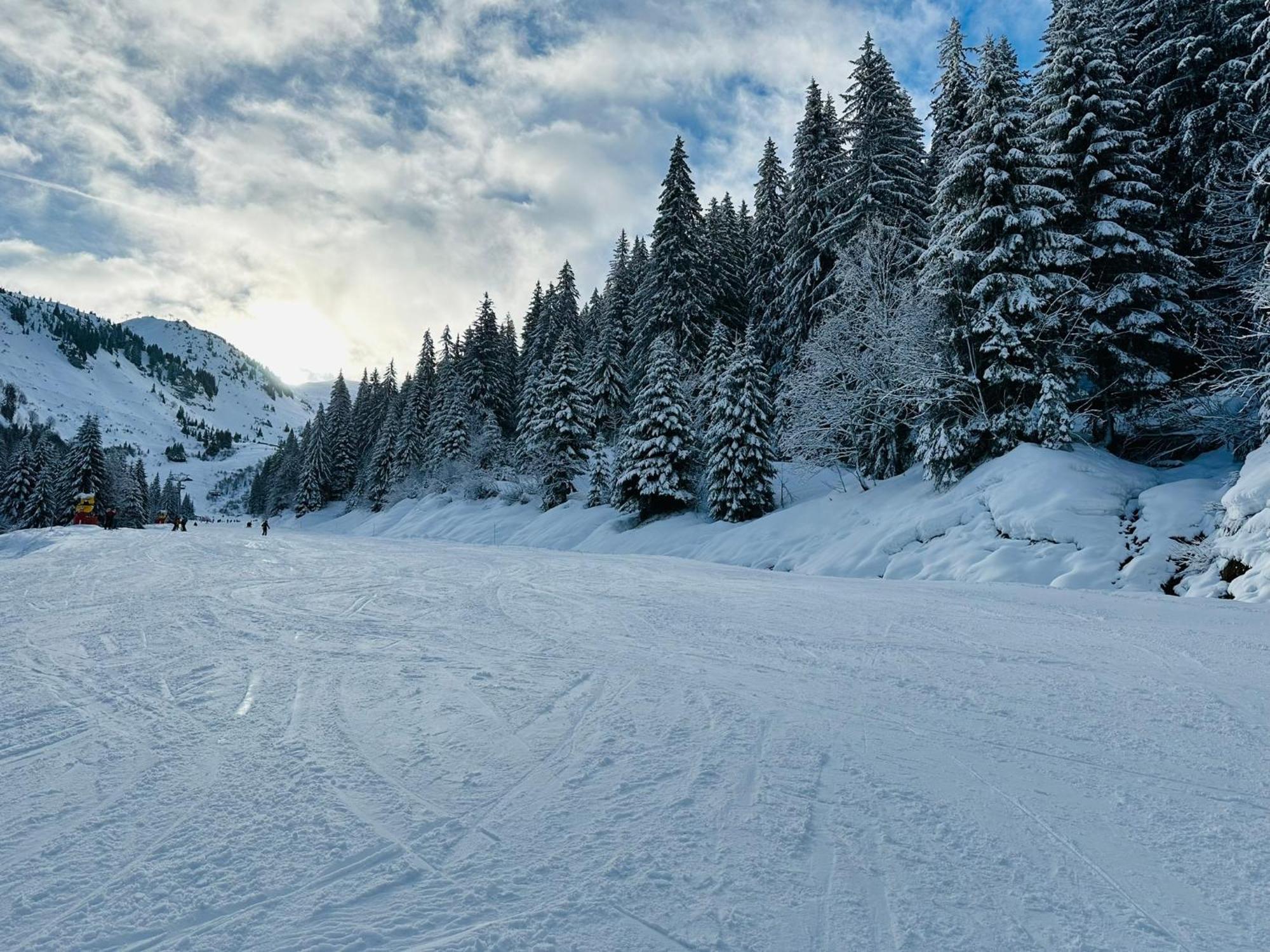 Willa Chalet Du Bonheur Bonnevaux  Zewnętrze zdjęcie